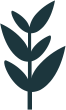 Développement